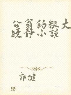 公翁的粗大放进晓静小说