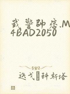 武警帅痞.MP4BAD2050