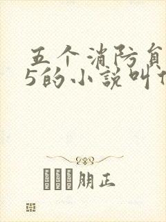五个消防员1v5的小说叫什么