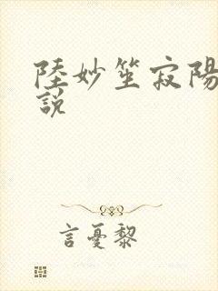 陆妙笙寂阳朔小说
