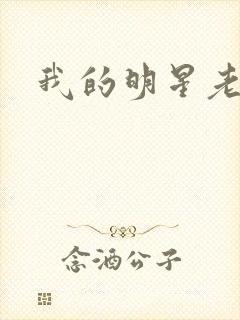 我的明星老豆