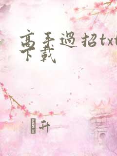 高手过招txt下载