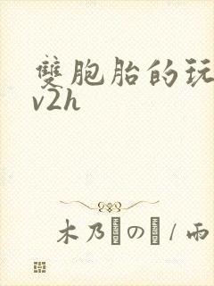 双胞胎的玩具1v2h