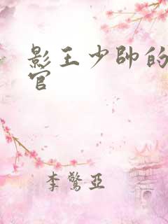 影王少帅的女长官