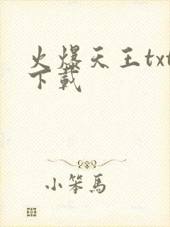 火爆天王txt下载