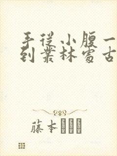 手从小腹一路开到丛林处古代