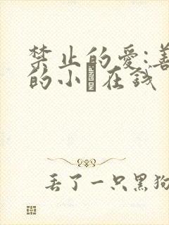 禁止的爱:善良的小峓在钱