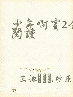 少年啊宾2全文阅读