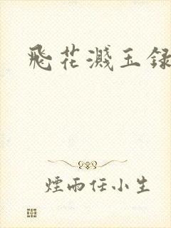 飞花溅玉录