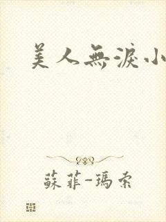 美人无泪小说