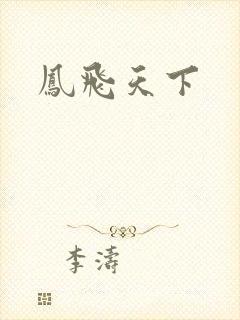 凤飞天下