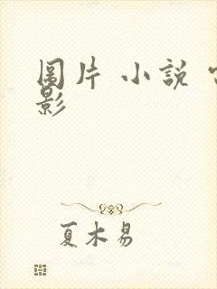 图片 小说 电影