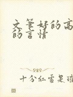 文笔好的高质量的言情