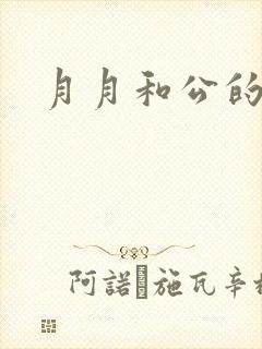 月月和公的恋情