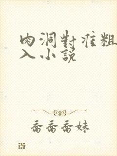 肉洞对准粗大坐入小说