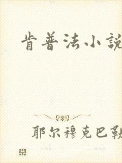 肯普法小说下载