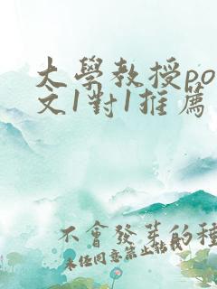 大学教授pop文1对1推荐