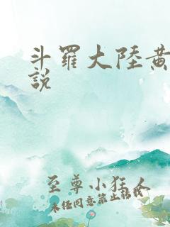 斗罗大陆黄化小说