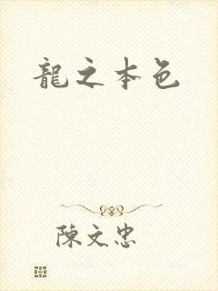 龙之本色