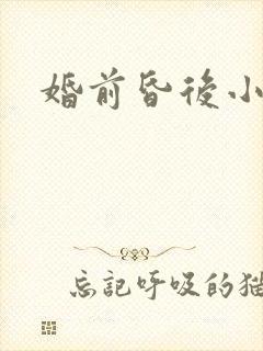 婚前昏后小说