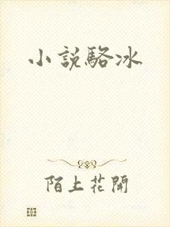 小说骆冰