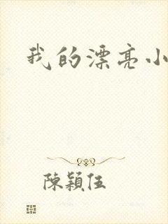 我的漂亮小后妈