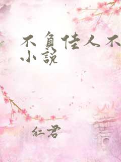不负佳人不负卿小说