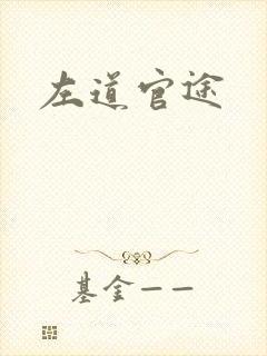 左道官途