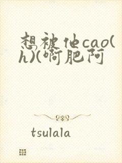 想被他cao(h)(啊肥阿