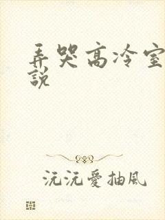 弄哭高冷室友小说