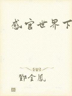 感官世界下载