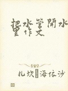 把水管开水放B里作文