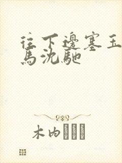 往下边塞玉器骑马沈驰