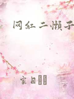 网红二懒子车祸