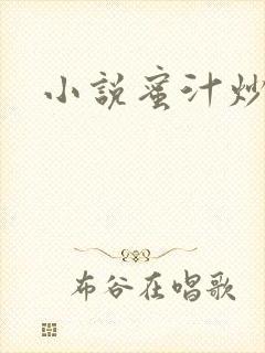 小说蜜汁炒鱿鱼