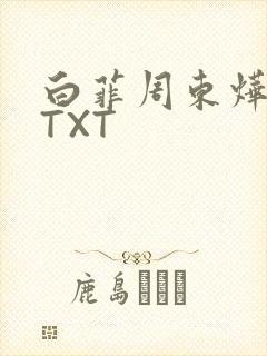 白菲周东烨小说TXT