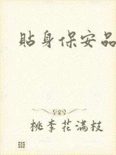 贴身保安品书网