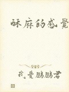 酥麻的感觉小说