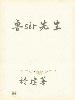 鲁sir先生