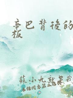 辛巴背后的人老板