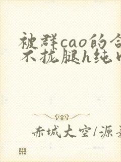 被群cao的合不拢腿h纯肉视频