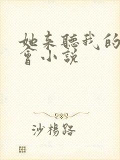 她来听我的演唱会小说