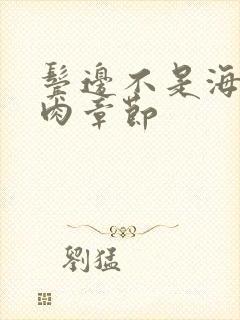 鬓边不是海棠红肉章节