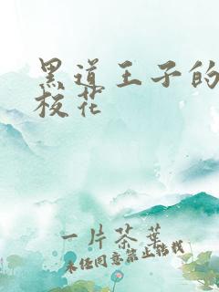 黑道王子的恶魔校花