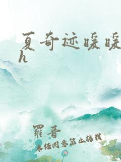 夏奇迹暖暖快穿h