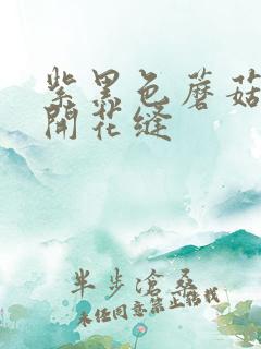 紫黑色蘑菇头顶开花缝