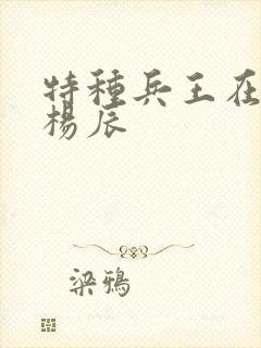 特种兵王在都市杨辰