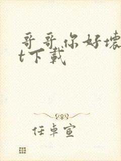 哥哥你好坏txt下载