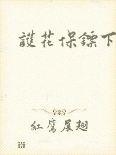 护花保镖下载