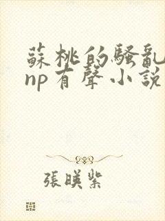 苏桃的骚乱文肉np有声小说